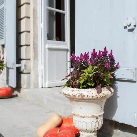 Chateau Sleeps 32 Wifi Σπίτι διακοπών Pogny
